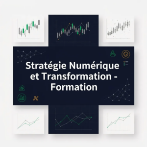 Stratégie Numérique et Transformation - Formation