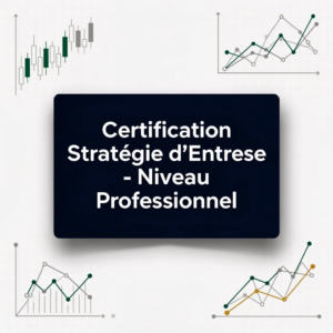 Certification Stratégie d'Entreprise - Niveau Professionnel